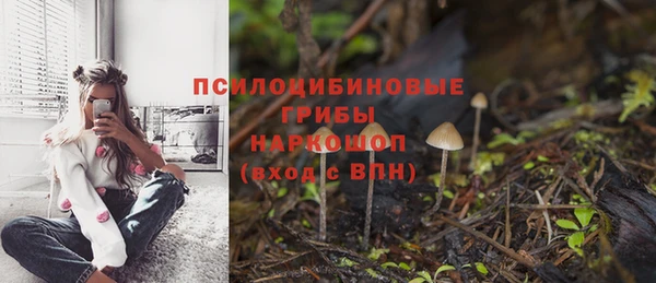 Альфа ПВП Алзамай