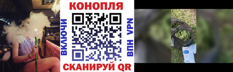 даркнет телеграм  Оханск  Марихуана сатива 